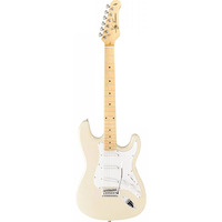 Электрогитара Jay Turser JT300M IV Изображение