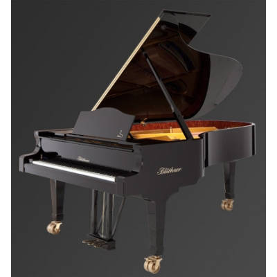 Рояль Julius Bluthner BLU 02 Ebony, satin Изображение