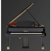 Рояль Julius Bluthner BLU 02 Mahogany, satin Изображение