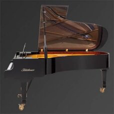 Рояль Julius Bluthner BLU 02 Yew, polished Изображение