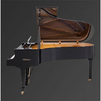 Рояль Julius Bluthner BLU 04 Black, polished Изображение