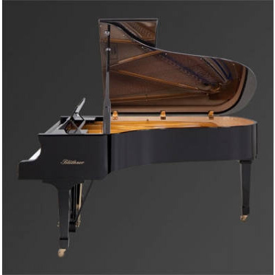 Рояль Julius Bluthner BLU 04 Black, polished Изображение