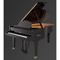 Рояль Julius Bluthner BLU 04 Walnut tree, satin Изображение