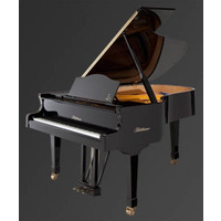 Рояль Julius Bluthner BLU 06 Black, tarnished Изображение