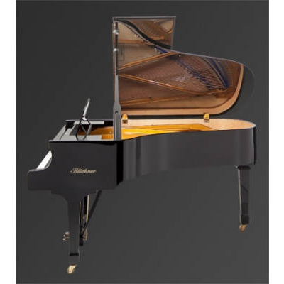 Рояль Julius Bluthner BLU 06 Ebony, satin Зображення