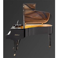 Рояль Julius Bluthner BLU 06 Yew, satin Изображение