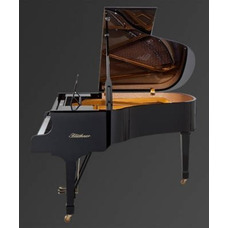 Рояль Julius Bluthner BLU 10 Root walnut tree, polished Изображение