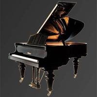 Рояль Julius Bluthner BLU S2 Black, polished KW Изображение