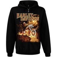 Кенгуру Harley-Davidson - лава на блискавці Зображення