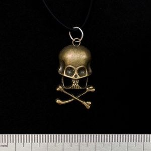 Кулон Danger Skull (цвет бронза) Изображение