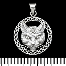 Кулон Голова кота з пентаграмою (срібло, 925 проба) (sp-219) Зображення