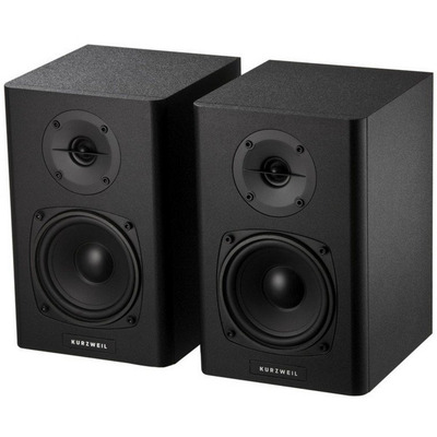 Мониторы Kurzweil KS-40A Изображение
