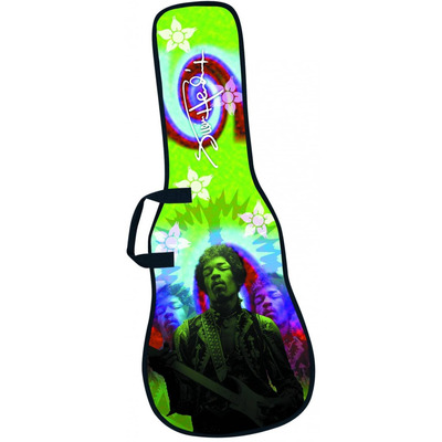 Чехол для электрогитары Levy's EMJH7006 Изображение