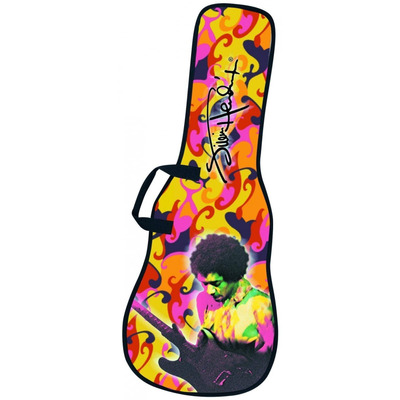Чехол для электрогитары Levy's EMJH7007 Изображение