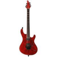 Електрогітара Mayones Regius PRO 6 Зображення