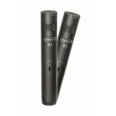 Набор микрофонов универсальных Prodipe A1 DUO Изображение