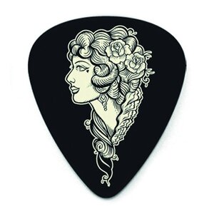 Набір медіаторів Dunlop L17R.73 Lucky 13 Зображення