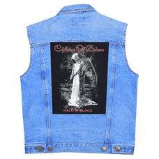 Нашивка наспинна катана CHILDREN OF BODOM - HALO OF BLOOD (olbp-034) Изображение