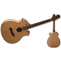 Электроакустическая гитара Parker P8 EN-BK Изображение