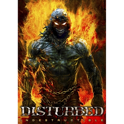 Плакат Disturbed (indestructible) Изображение