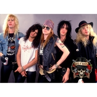 Плакат Guns N’ Roses (logo with skull) Зображення