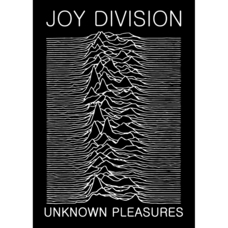 Плакат Joy Division "Unknown Pleasures" Изображение
