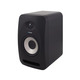 Студійний монітор Tannoy Reveal 502 Зображення