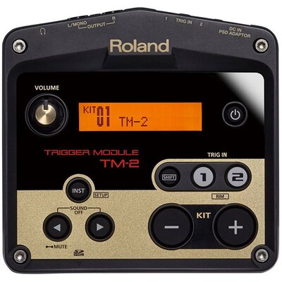 Критичний модуль Roland TM-2 Зображення