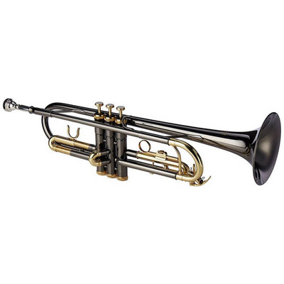 Bb-труба Roy Benson TR-101К RB701052 Изображение