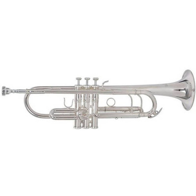 Bb-труба Roy Benson TR-403S RB-701086 Зображення