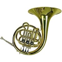 Валторна Roy Benson HR-202B RB701401 Зображення