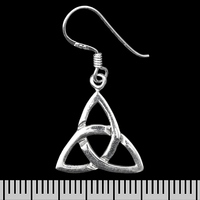 Сережка-гачок Трикветр (срібло, 925 проба) (ehs-033) Изображение