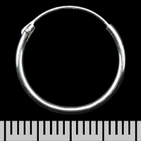 Сережка, кільце (eas-170) Зображення