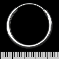 Сережка, кільце потовщене (eas-175) Зображення