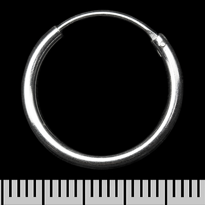 Сережка, кільце потовщене (eas-175) Зображення