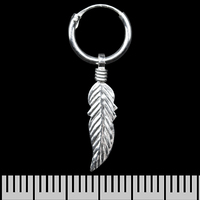 Сережка, кільце з пером (eas-150) Зображення