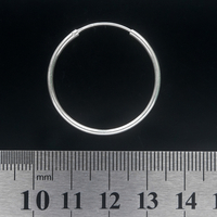 Серьга, кольцо большое (eas-061) Изображение