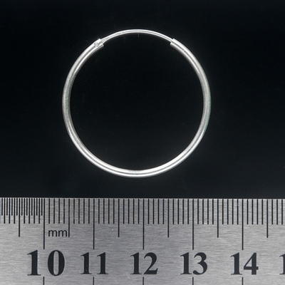 Сережка, кільце велике (eas-061) Зображення