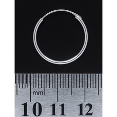 Сережка, кільце (eas-008) Зображення