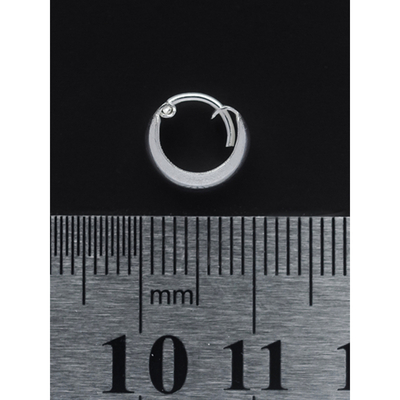 Сережка, кільце піратське (eas-010) Зображення