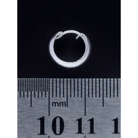 Серьга, кольцо пиратское (eas-031) Изображение