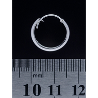 Серьга, кольцо пиратское (eas-037) Изображение