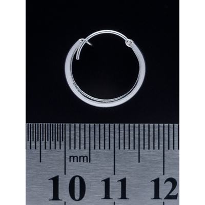 Серьга, кольцо пиратское (eas-037) Изображение