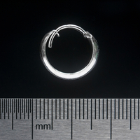 Сережка, кільце піратське (eas-053) Зображення