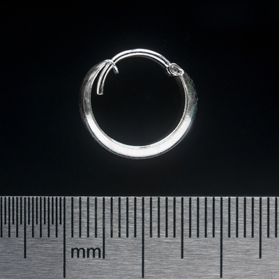 Сережка, кільце піратське (eas-053) Зображення