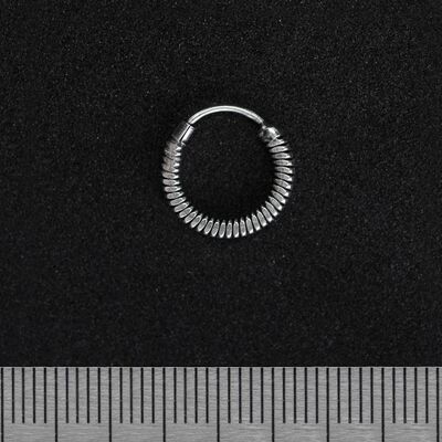 Сережка, кільце прямоугольное в сечении (eas-078) Зображення