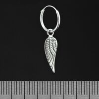 Сережка, кільце з крилом (eas-071) Зображення