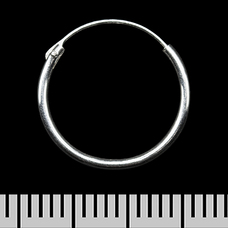 Серьга, кольцо с родиевым покрытием (eas-007) Изображение