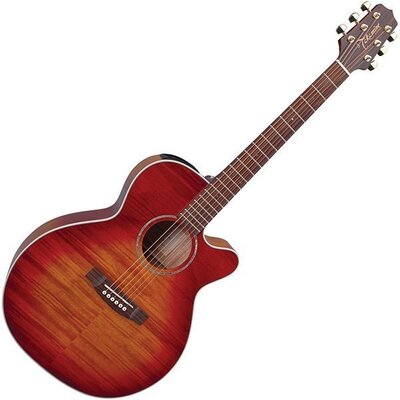 Електроакустична гітара Takamine EG444C-VV Зображення