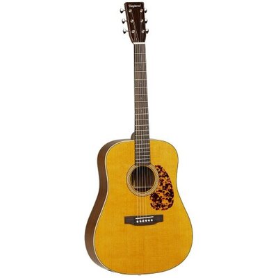 Электроакустическая гитара Tanglewood TW40D-ANE Изображение